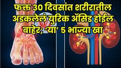 ३० दिवसांत सांध्यात अडकलेलं युरिक ॲसिड लघवीवाटे बाहेर पडेल; ‘या’ ५ भाज्या खायला सुरुवात करा, सांधेदुखीपासूनही मिळेल आराम!