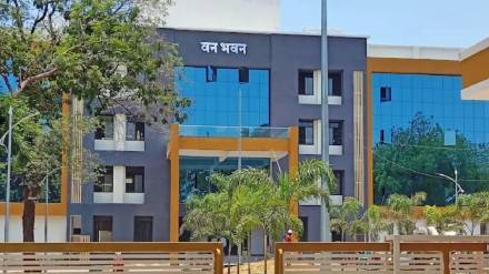 Dhule-Nandurbar: 65 sq km of forest lost in 2 years, Forest Department on action mode Dhule-Nandurbar: 65 sq km of forest lost in 2 years, Forest Department on action mode