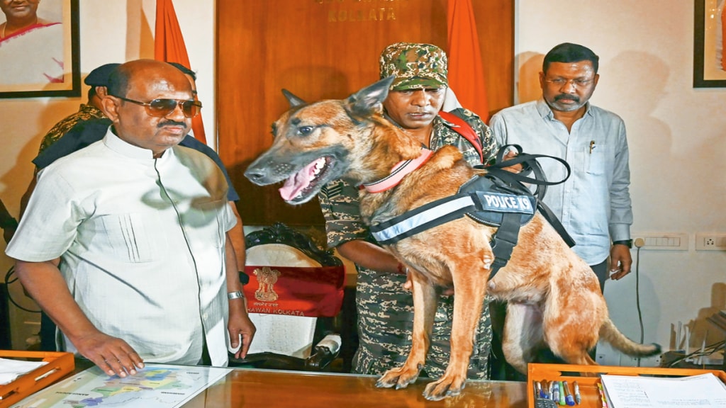 Kolkata Raj Bhavan raid, Search operation West Bengal Raj Bhavan, Trinamool MP allegations, West Bengal Raj Bhavan, loksatta news, marathi news, पश्चिम बंगाल राजभवन शोधमोहीम, तृणमूल खासदार आरोप,