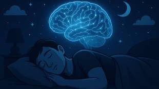 what happens during sleep