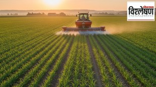 चालू आर्थिक वर्षात भारतातील युरियाचा वापर ४ कोटी टनांच्या विक्रमी पातळीवर पोहोचण्याची शक्यता आहे. (छायाचित्र लोकसत्ता ग्राफिक्स टीम)