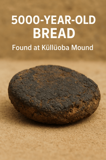 5000 Year Old Bread: भाकरीच्या साध्या तुकड्यात दडलीय, ५००० वर्षे जुनी ...