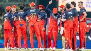 royal challengers bengaluru