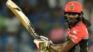 chris gayle