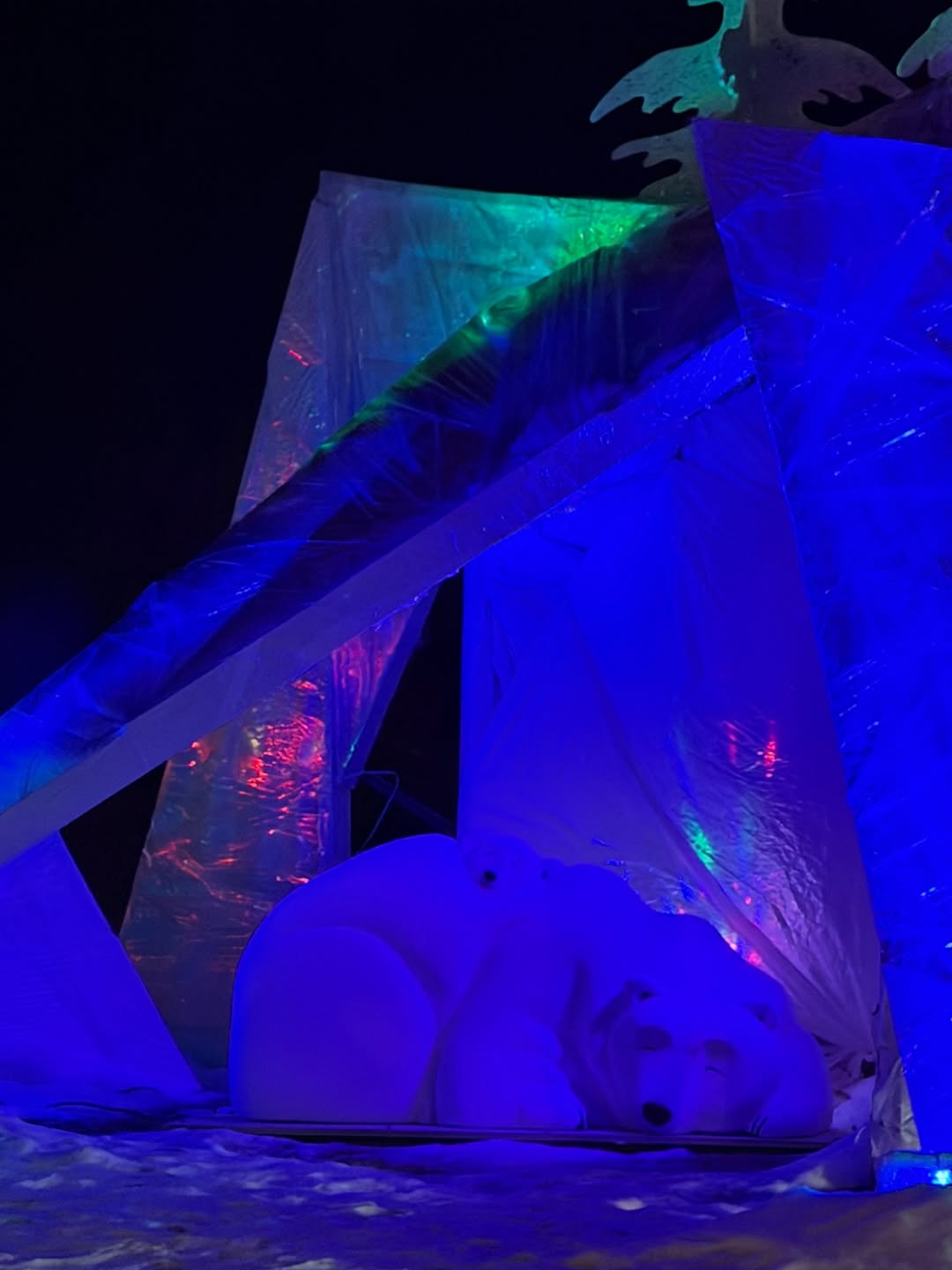 Rasika Sunil celebrating Christmas in Canada with husband Aditya.