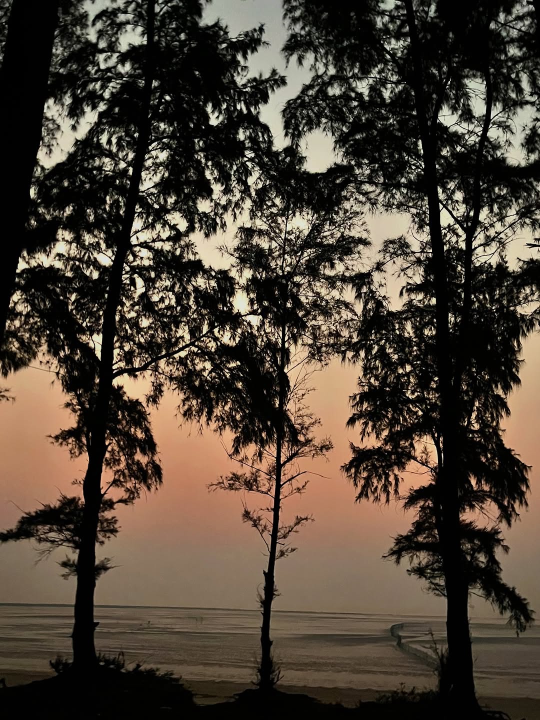 Shivani Surve Ajinkya Nanaware beach romantic sunset look