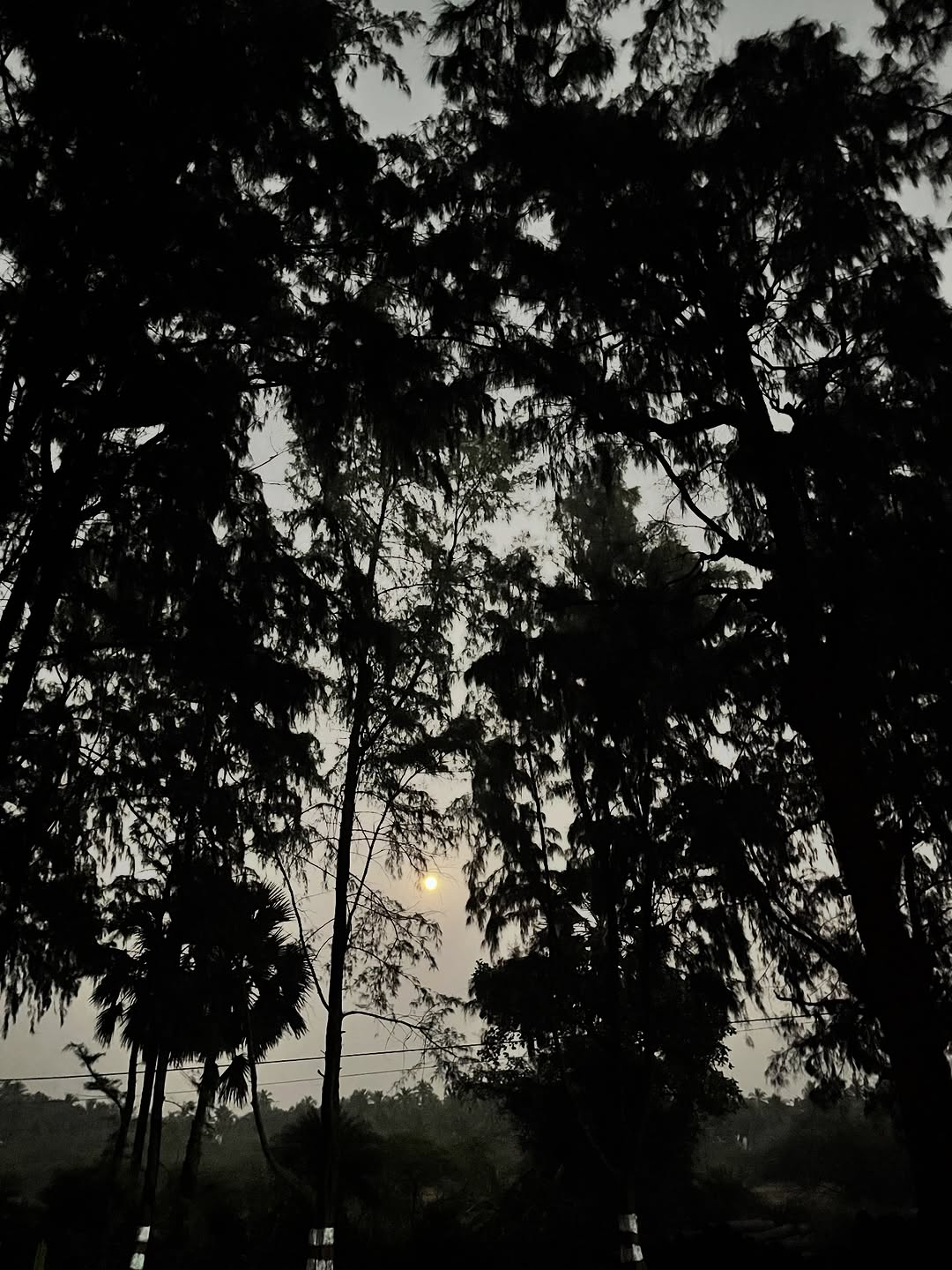 Shivani Surve Ajinkya Nanaware beach romantic sunset look