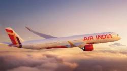 Air India: विमान प्रवासात जेवणाचा निर्णय प्रवाशांचा; एअर इंडियाचा निर्णय, २५० ते ३०० रुपयांची बचत