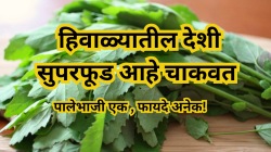 हिवाळ्यातील देशी सुपरफूड ‘ही’ पालेभाजी! झटपट साफ होईल पोट; अपचन, गॅस आणि आम्लपित्तावर रामबाण उपाय