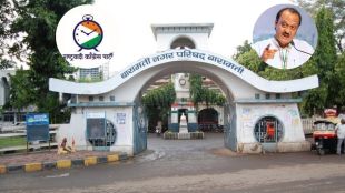 Baramati Nagar Parishad election results Ajit Pawar NCP victory