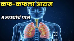 खोकला होईल कमी, घशात साचलेला सगळा कफ निघून जाईल! फक्त ५ रुपयांचं ‘हे’ एक पान खा, तोंडाची दुर्गंधी होईल दूर, सुधारेल पचनही!
