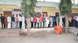 बुलढाणा : मतदानाच्या मध्यावर पाच पालिकांत उत्साही मतदान