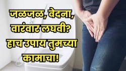 तुम्हालाही लघवी करताना तीव्र वेदना होतात? पाण्यात एक चमचा ‘या’ बिया टाकून प्या; मुत्रमार्ग स्वच्छ राहील आणि इन्फेक्शनपासूनही बचाव होईल!