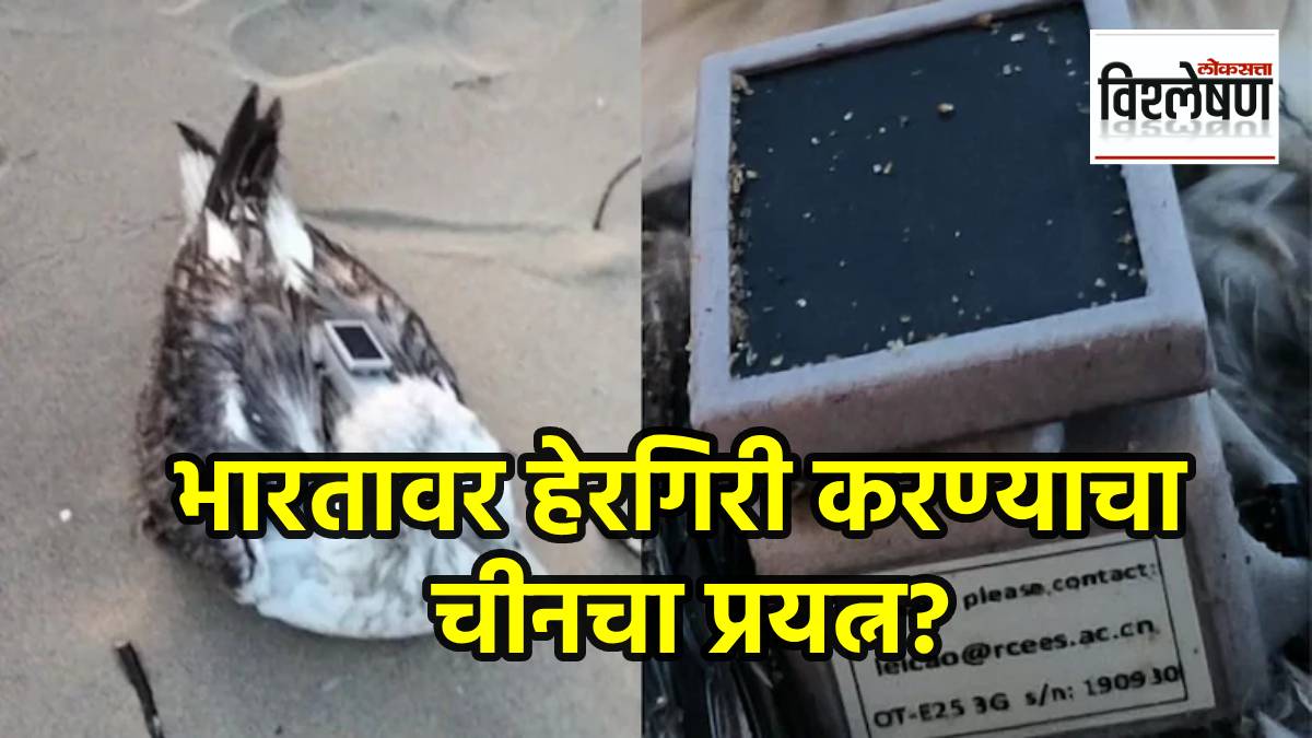 कारवार नौदल तळावर चीनची नजर? सुरक्षा यंत्रणा सतर्क; हेरगिरीचा संशय कशामुळे वाढला? (छायाचित्र सोशल मीडिया)