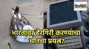 कारवार नौदल तळावर चीनची नजर? सुरक्षा यंत्रणा सतर्क; हेरगिरीचा संशय कशामुळे वाढला? (छायाचित्र सोशल मीडिया)