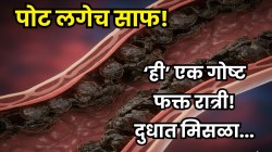 आतड्यांमध्ये दीर्घकाळ साचलेली घाण होईल स्वच्छ! फक्त रात्री दुधात मिसळा ‘ही’ एक गोष्ट; सकाळी उठताच पोट मोकळं!