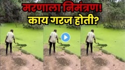 अवघ्या काही फूटावर मगरी! तरीही काय गरज होती? तलावाच्या काठावर तरुण उभा राहून काय करतोय पाहा; VIDEO पाहून तुमच्याही काळजात धडधड वाढेल