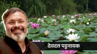 Devdutt Pattanaik
