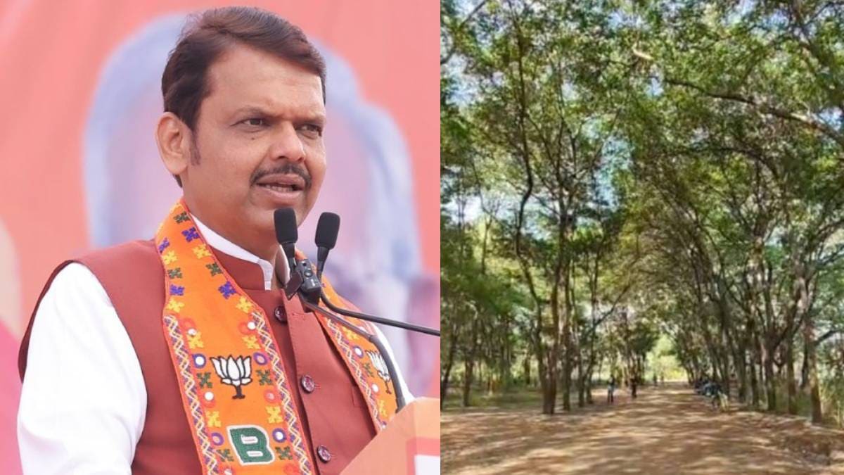 Devendra-Fadnavis-Nashik-Tree-Cutting-Controvercy