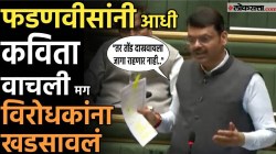 Devendra Fadnavis : “…तर तोंड दाखवायला जागा राहणार नाही”, मुख्यमंत्री फडणवीस आमदारावर संतापले; सभागृहात काय घडलं?
