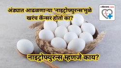 अंड्यात आढळणाऱ्या ‘नाइट्रोफ्युरन्स’मुळे खरंच कॅन्सर होतो का? नाइट्रोफ्युरन्स म्हणजे काय? जाणून घ्या सत्य