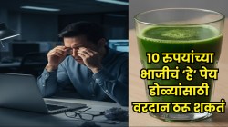 दिवसेंदिवस नजर कमजोर होतेय-लांबच दिसत नाही? फक्त १० रुपयांच्या भाजीचे ‘हे’ एक पेय प्या; डोळे राहतील चांगले-तीक्ष्ण, नंबरही होऊ शकतो कमी