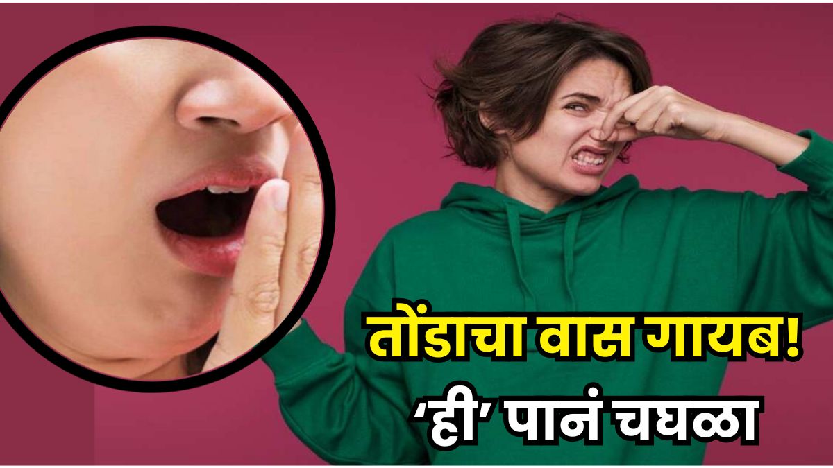 Guava Leaves Benefits