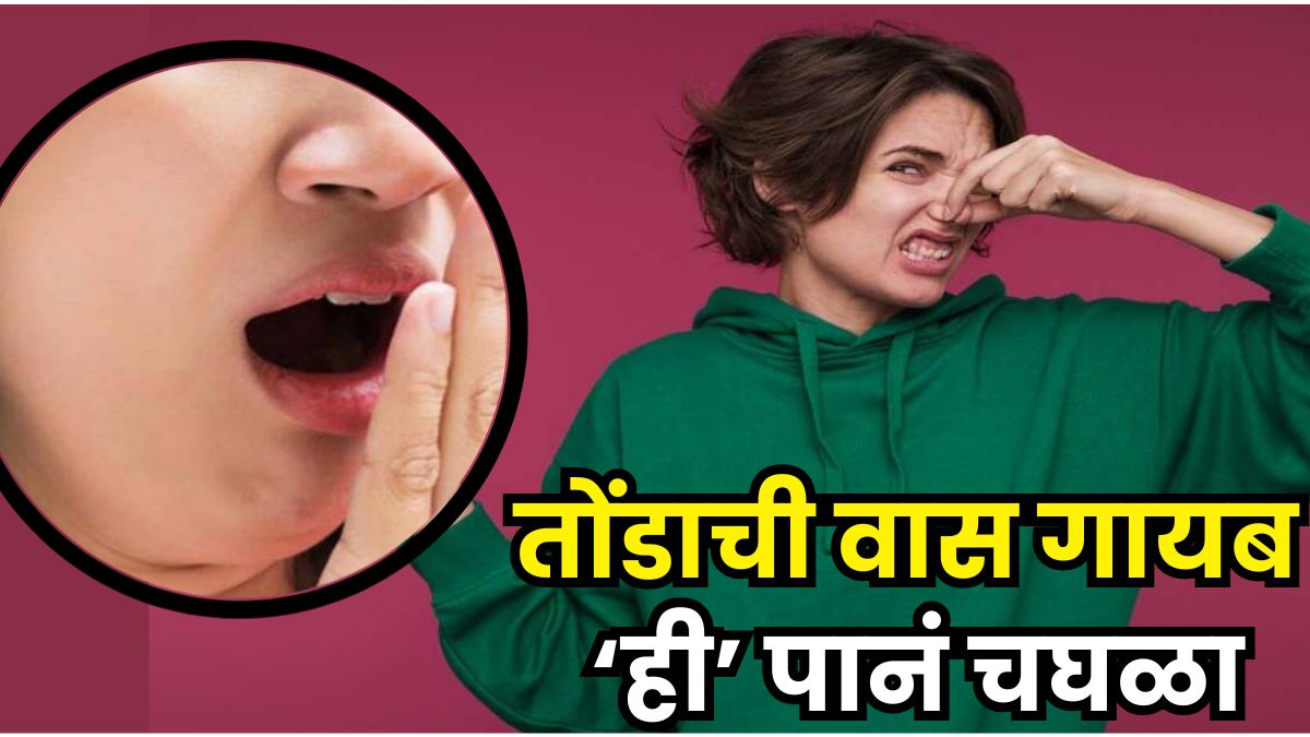 Guava Leaves Benefits