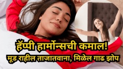 Happy Hormone: मूड राहील फ्रेश, मिळेल गाढ अन् शांत झोप; शरीरात ‘सेरोटोनिन’ वाढवण्यासाठी हे नैसर्गिक उपाय ठरतील रामबाण