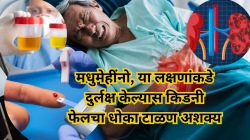पाय सुजणे, लघवीत फेस किंवा रंगात बदल? मधुमेहींसाठी, हा असू शकतो किडनी फेल झाल्याचा इशारा
