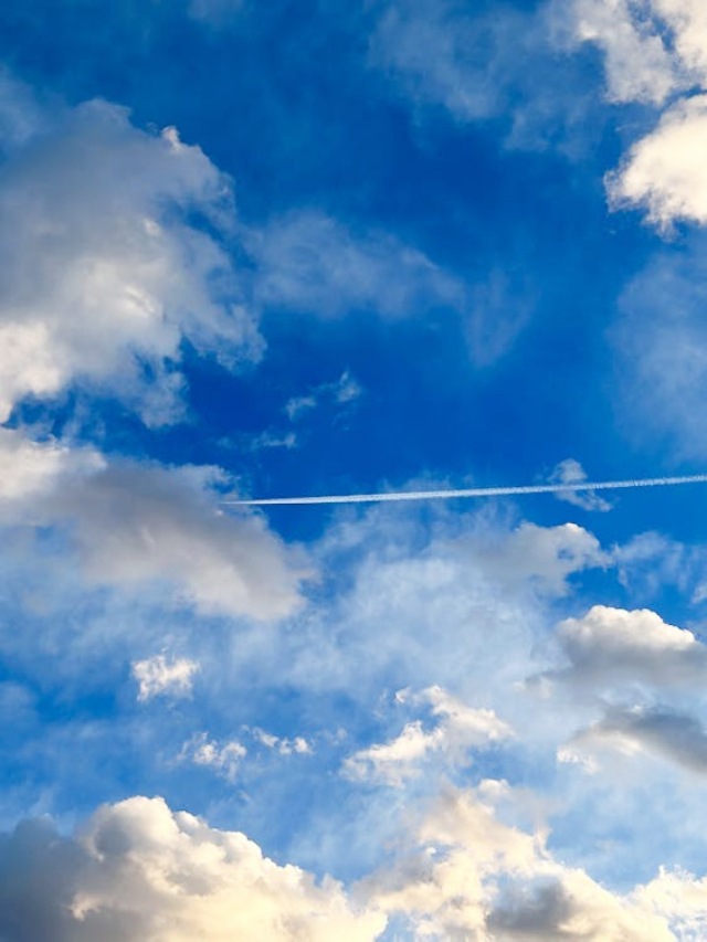 Horoscope Today Sunday 14 December 2025