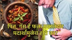 मसालेदार पदार्थांमुळेच पित्त वाढते का? ‘ही’ आहेत यामागची काही दुर्लक्षित कारणं… वाचा तज्ज्ञ काय सांगतात?