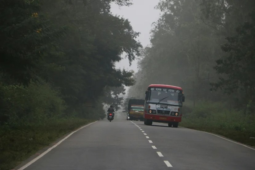 Winter Fog Driving Tips