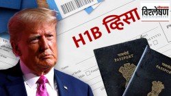 अमेरिकेचा भारताला मोठा धक्का; H1B व्हिसाच्या मुलाखती थांबवल्या, आतापर्यंत ८५ हजारांहून अधिक व्हिसा रद्द, कारण काय?