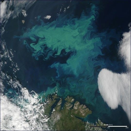 NASA-Ocean-color