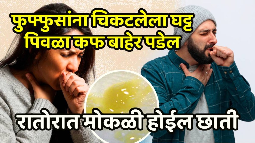 o Get Rid Of Wet And Dry Cough And Phlegm Mucus From Lungs Chew Betel Leaf With Cloves Ajwain And Honey o Get Rid Of Wet And Dry Cough And Phlegm Mucus From Lungs Chew Betel Leaf With Cloves Ajwain And Honey