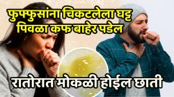 खोकल्यासोबत घट्ट पिवळा कफ फुफ्फुसांना चिकटून बसलाय? झोपताना ‘या’ बिया चावून खा, रातोरात मोकळी होईल छाती व चोंदलेलं नाक