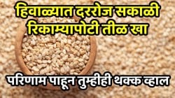 हिवाळ्यात दररोज सकाळी रिकाम्यापोटी तीळ खा; आश्चर्यकारक परिणाम पाहून तुम्हीही थक्क व्हाल