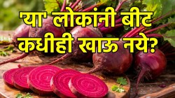 बीट दररोज खाता? ‘या’ चार आरोग्य समस्या असलेल्यांसाठी बीटाचे सेवन ठरेल घातक