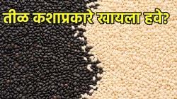 हिवाळ्यात तिळाचे सेवन करण्याचे अगणित फायदे; ‘या’ सोप्या पद्धतीने करा सेवन
