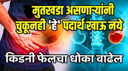 मुतखड्यांचा त्रास उफाळेल, करावी लागेल सर्जरी; ‘या’ पदार्थांपासून आयुष्यभर रहा दूर नाहीतर किडनी फेलचा धोका वाढेल