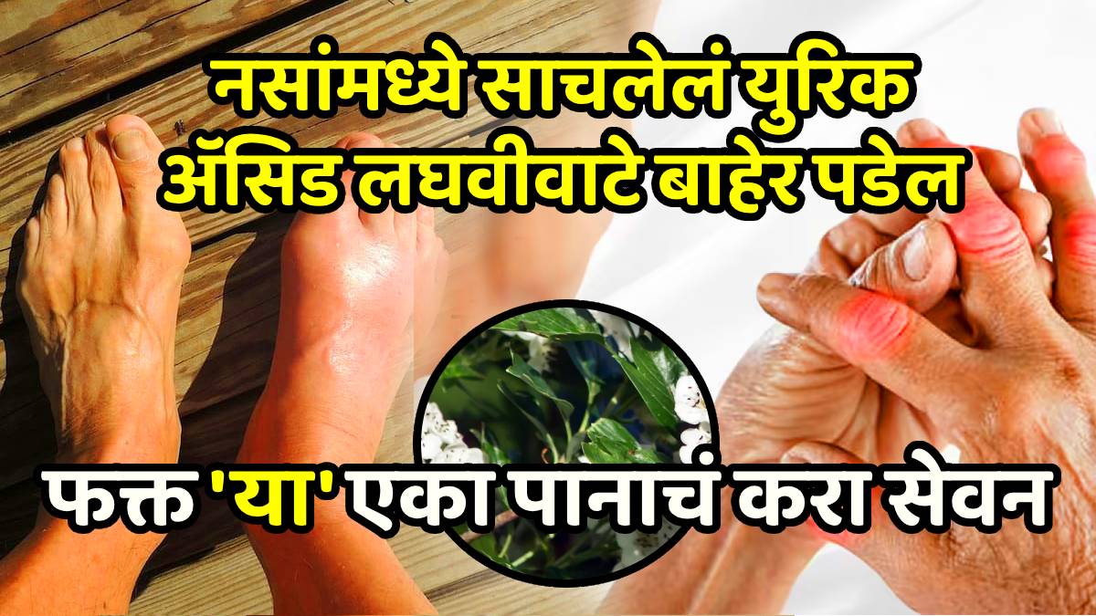 Control Uric Acid tips