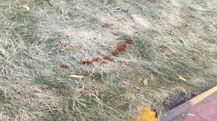 nagpur Vidhan Bhavan enhanced atmosphere