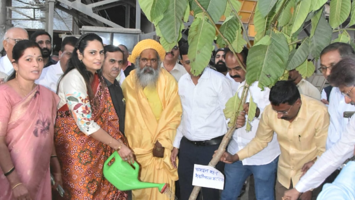 nashik amid tapovan protests municipal administration plans to plant 15 000 15 foot trees from Hyderabad