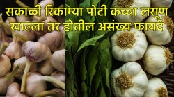 सकाळी रिकाम्या पोटी लसूणच्या फक्त दोन पाकळ्या खा… कोलेस्ट्रॉल आणि इतर आजारांवर करेल प्रभावी उपाय