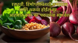 शरीरातील रक्ताची, हिमोग्लोबिनची कमतरता ठरते डोकेदुखी? मग ‘या’ पदार्थांचा आहारात करा समावेश… थकव्यापासूनही होईल सुटका