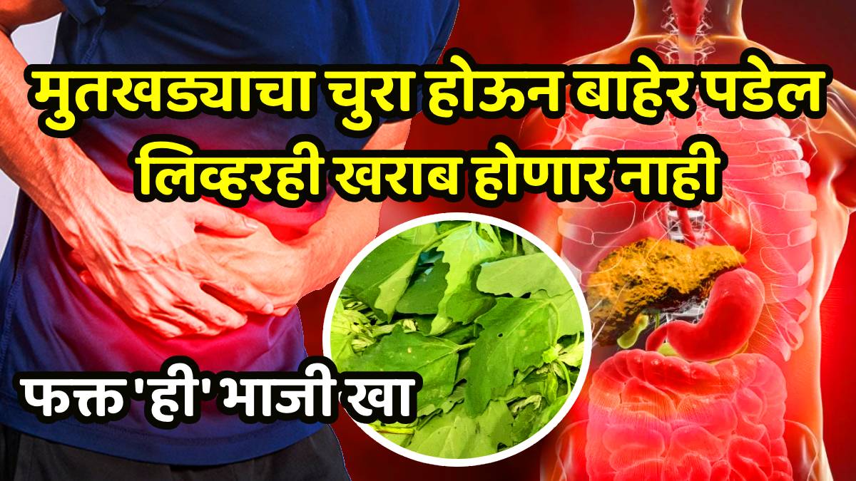 Chakvat benefits for liver and kidney health sardi mein Chakvat fayde kidney stone