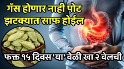 गॅस होणार नाही, पोट झटक्यात होईल साफ; फक्त १५ दिवस ‘या’ वेळी खा २ वेलची, परिणाम पाहून तुम्हीही थक्क व्हाल