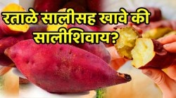 रताळे सालीसह खावे की सालीशिवाय? ९० टक्के लोक रताळे खाताना ‘ही’ चूक करतात! तज्ज्ञांनी सांगितली योग्य पद्धत