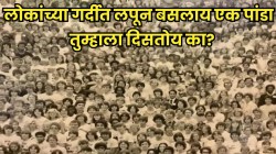 Optical Illusion: फोटोत फक्त लोक दिसताहेत? पण या गर्दीत पांडा लपलाय; ९ सेकंदात तुम्हाला दिसला तर तुम्ही एक्स्पर्ट!